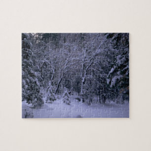 Puzzle Forêt paysager de neige