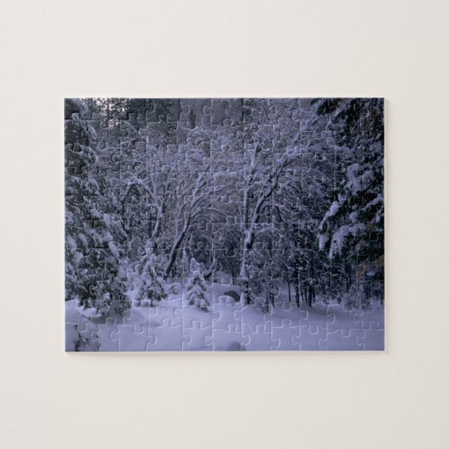Puzzle Forêt paysager de neige (Horizontal)