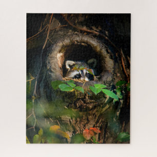 Puzzle Forêt Raccoon Peeking
