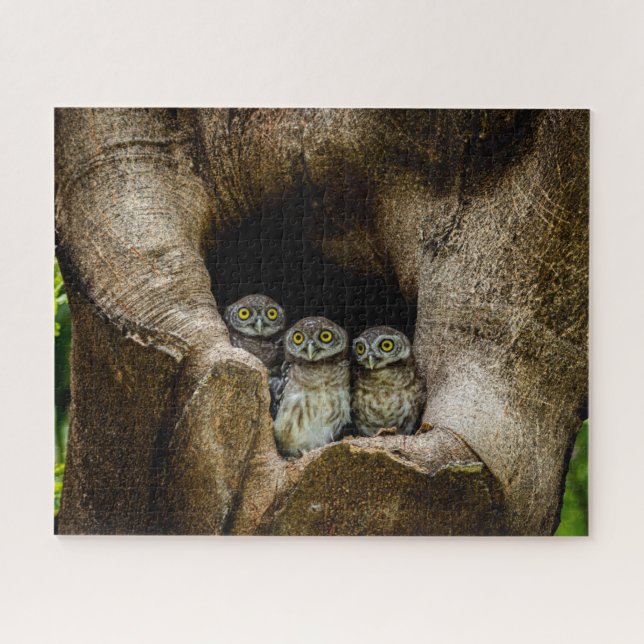 Puzzle Forêt | Trois Chouettes (Horizontal)