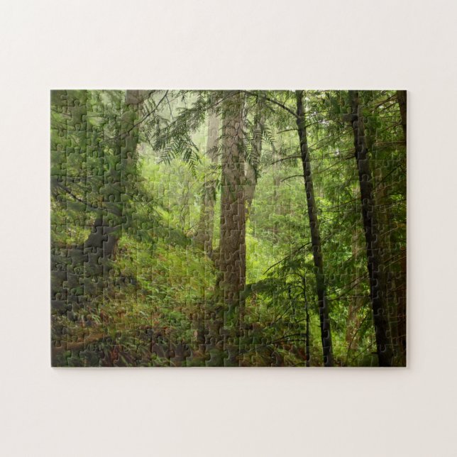 Puzzle Forêt tropicale dans le Parc National Olympique Ph (Horizontal)
