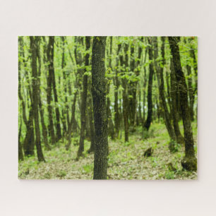 Puzzle Forêt verte