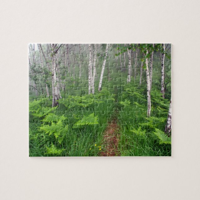 Puzzle Forêt verte luxuriante (Horizontal)