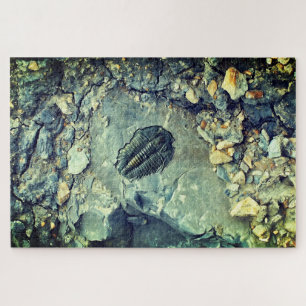 Puzzle Fossile