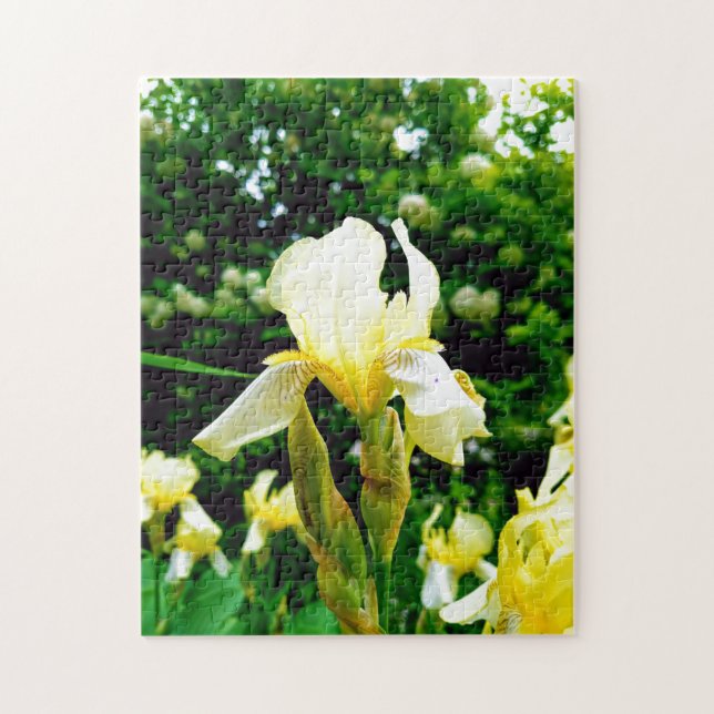 Puzzle Foto für kreative Blume (Vertikal)
