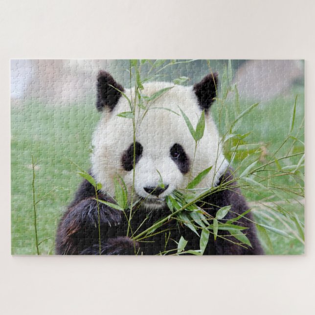 Puzzle Foto Riesenpanda , Tiere 0341. (Horizontal)