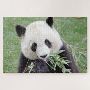 Puzzle Foto Riesenpanda , Tiere 0342.