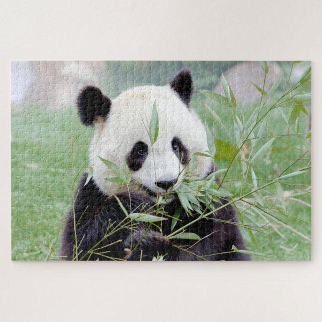 Puzzle Foto Riesenpanda , Tiere 0343. (Horizontal)