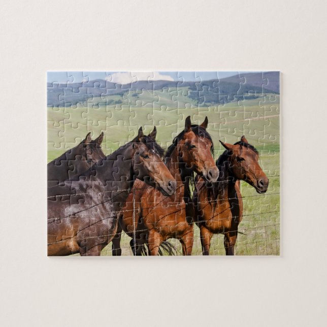 Puzzle Four Beautiful Horses (Horizontal)