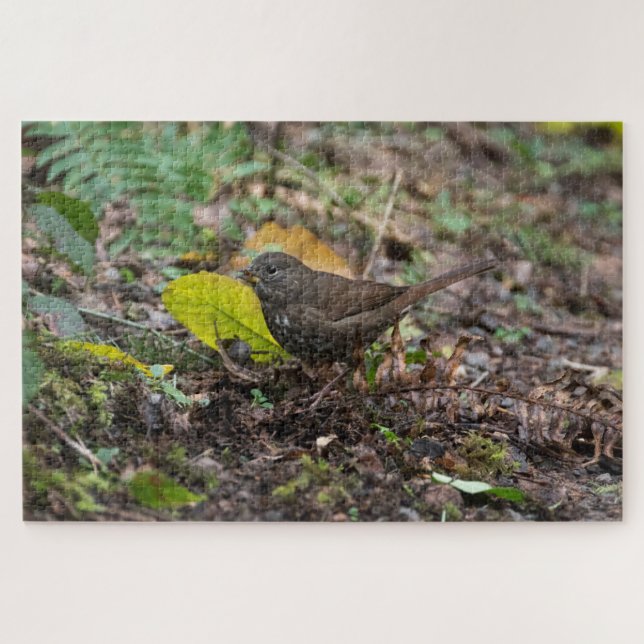 Puzzle Fox Sparrow (Horizontal)