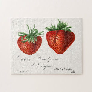 Puzzle Fraises (Fragaria) Peinture à l'aquarelle de frui