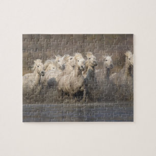 Puzzle France, Provence. Chevaux Camargue blancs courant