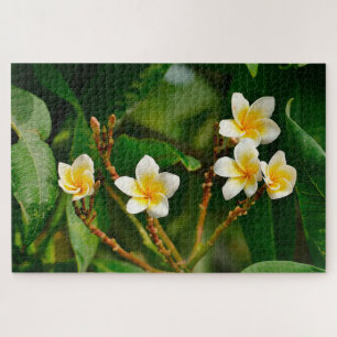 Puzzle Frangipani jaune