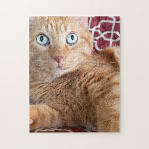 Puzzle Frankie