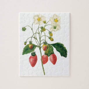 Puzzle Fruits vintages Fraises de fraises alimentaires pa