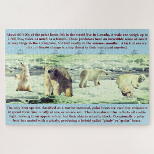 Puzzle Fun Ours Polaire 20"x30" - 1,014 pièce