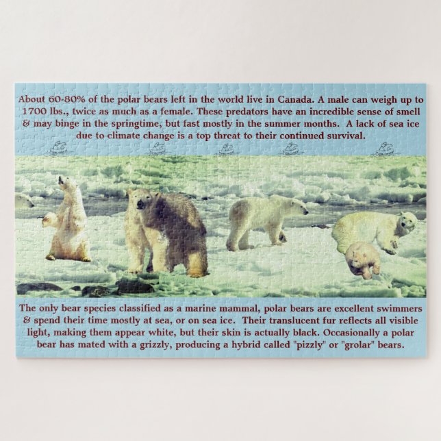 Puzzle Fun Ours Polaire 20"x30" - 1,014 pièce (Horizontal)
