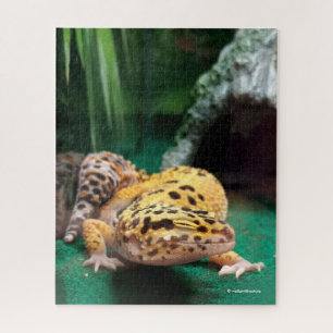 Puzzle Funny Leopard Gecko sourit pour les Paparazzi