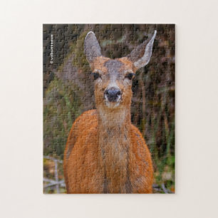 Puzzle Funny Young Blacktail Deer sourit à un photographe
