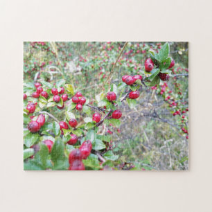 Puzzle für kreative Beeren aus Foto