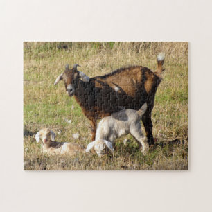 Puzzle für Mama- und Babyziegen