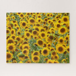 Puzzle für Sonnenblumen