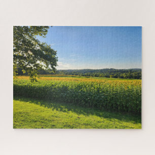 Puzzle für Sonnenblumen