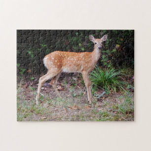 Puzzle für wild lebende Tiere