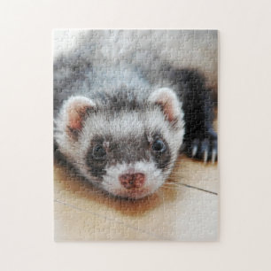 Puzzle Furet mignon de sable
