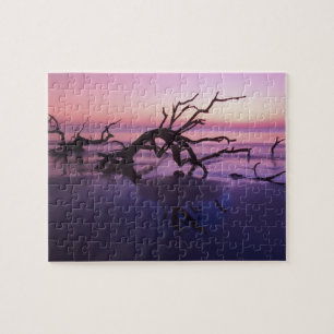 Puzzle GA Jekyll Island, un cimetière arboré sur la pla