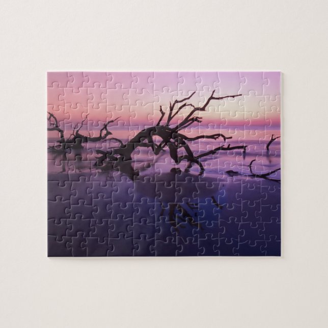 Puzzle GA Jekyll Island, un cimetière arboré sur la plage (Horizontal)