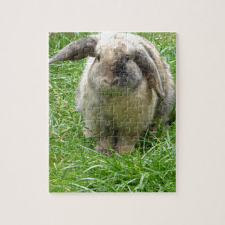 Puzzle Gaffez le lapin