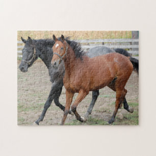 Puzzle Galloping de chevaux