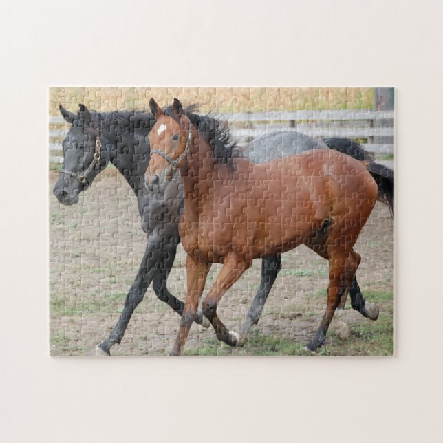 Puzzle Galloping de chevaux (Horizontal)