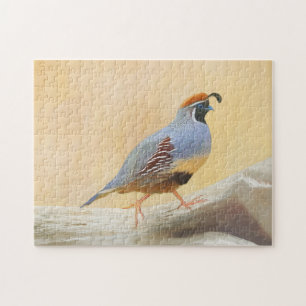 Puzzle Gambrel's Quail Painting Original Bird Art