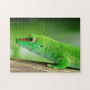Puzzle Gecko Géant de la Journée Verte - Phelsuma grandis