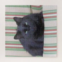 Puzzle - Gemütliche Katze auf Kissen