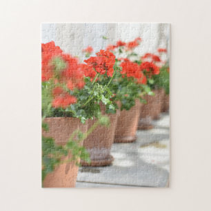 Puzzle Geraniums Pots Plantes Kew Gardens Londres UK