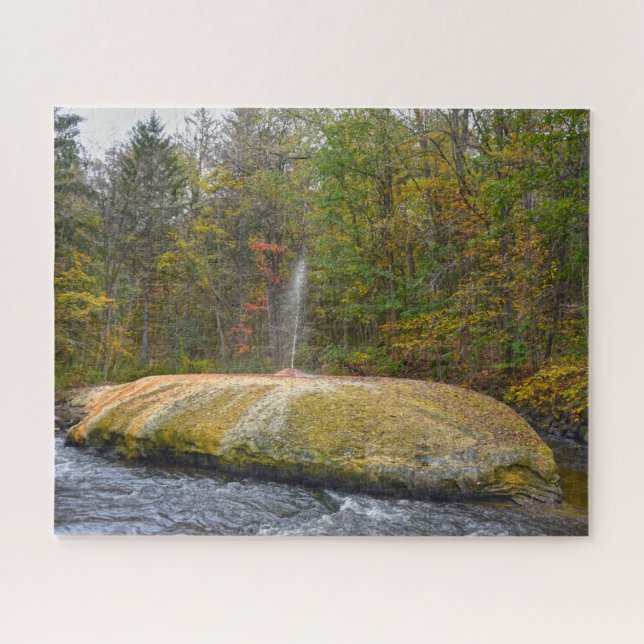 Puzzle Geyser Island Spouter, Saratoga Springs, New York (Horizontal)