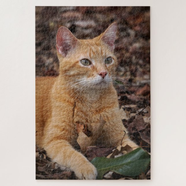Puzzle Ginger Chat devant l'automne automne Feuilles Port (Vertical)