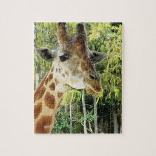 Puzzle Girafe