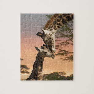 Puzzle Girafes se saluant