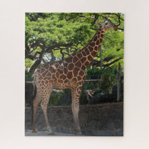 Puzzle Giraffe