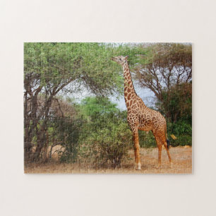 Puzzle Giraffe Masaï