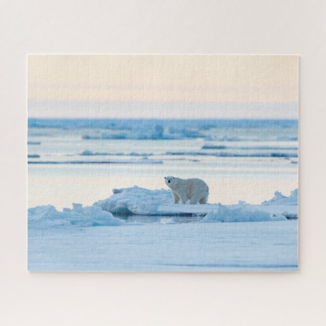 Puzzle Glace et neige | Ours polaire Iceberg Norvège (Horizontal)