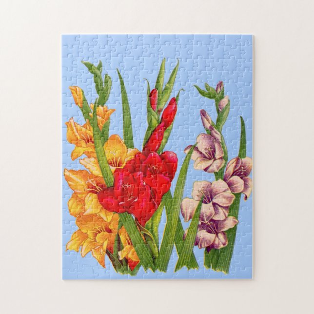 Puzzle gladiola gladiolus (Vertical)