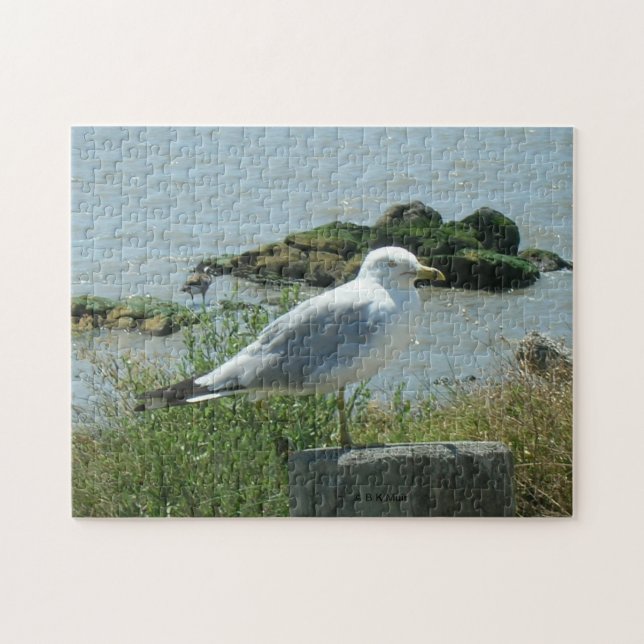 Puzzle - Goéland sur Piling (Horizontal)