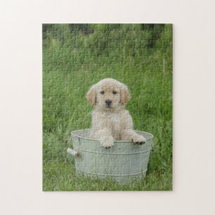 Puzzle Golden Retriever