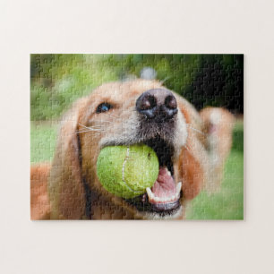 Puzzle Golden Retriever Avec Le Bal De Tennis