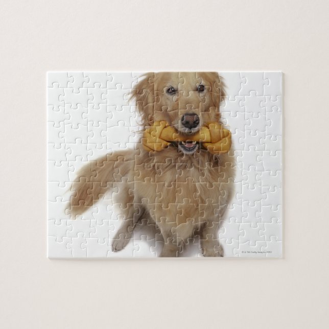 Puzzle Golden Retriever Chien tenant l'os dans la bouche (Horizontal)